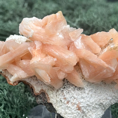 Stilbit Cluster Stufe auf Zeolith aus Indien (113g) - viele grosse Kristalle - crystal paradise