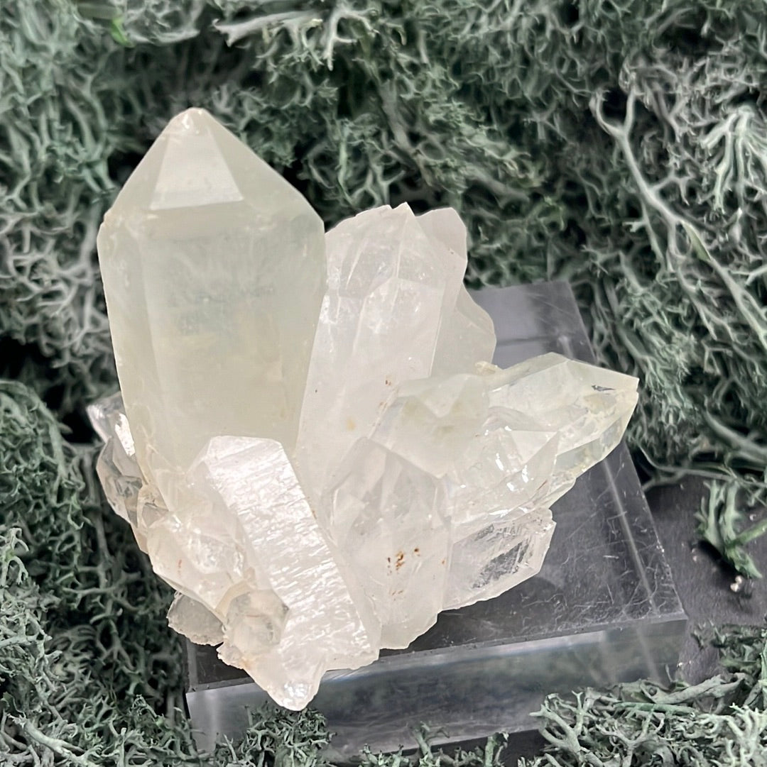 Bergkristall aus der Türkei (91g) - Stufe mit vielen Spitzen - crystal paradise