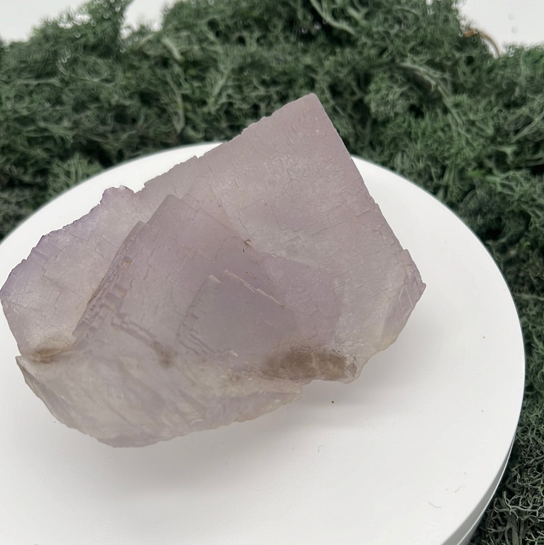 Fluorit Handstufe aus Baluchistan/Pakistan (280g) - tolles Kristallsystem - crystal paradise