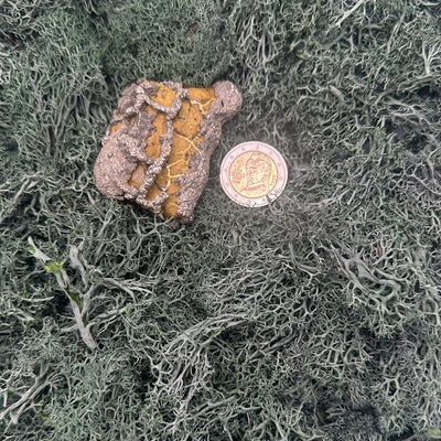 Pyrit auf gelber Matrix aus Mansehra / Pakistan (96g) - crystal paradise