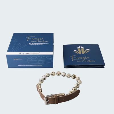 Dalmatiner Jaspis–baut Nervosität und Stress ab - Hundehalsband crystalpower® - crystal paradise
