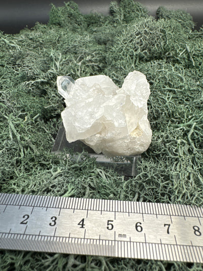 Bergkristall Stufe aus Brasilien (101g) - schönes  Kristallcluster - crystal paradise