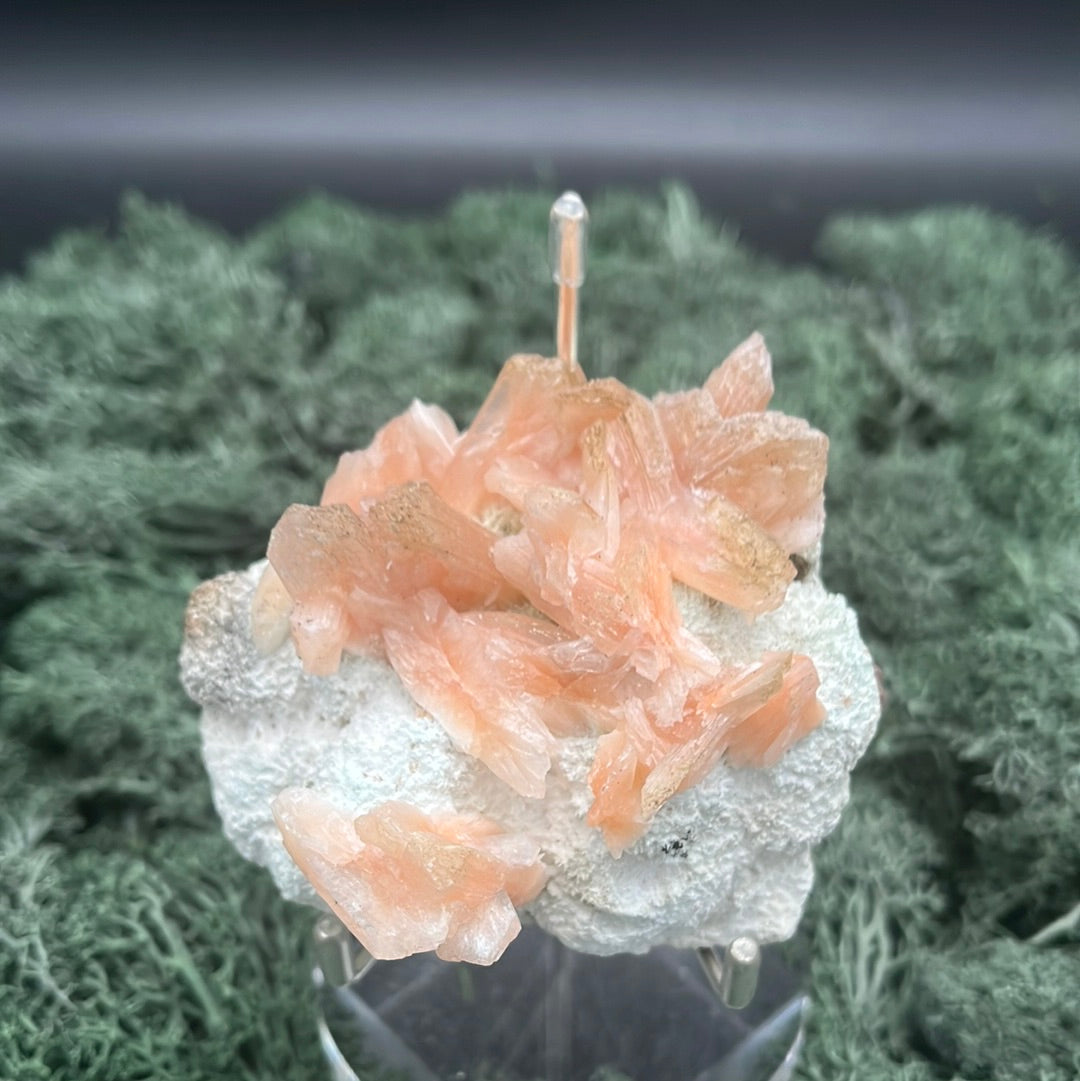 Stilbit Cluster Stufe auf Zeolith aus Indien (160g) - viele grosse Kristalle - crystal paradise