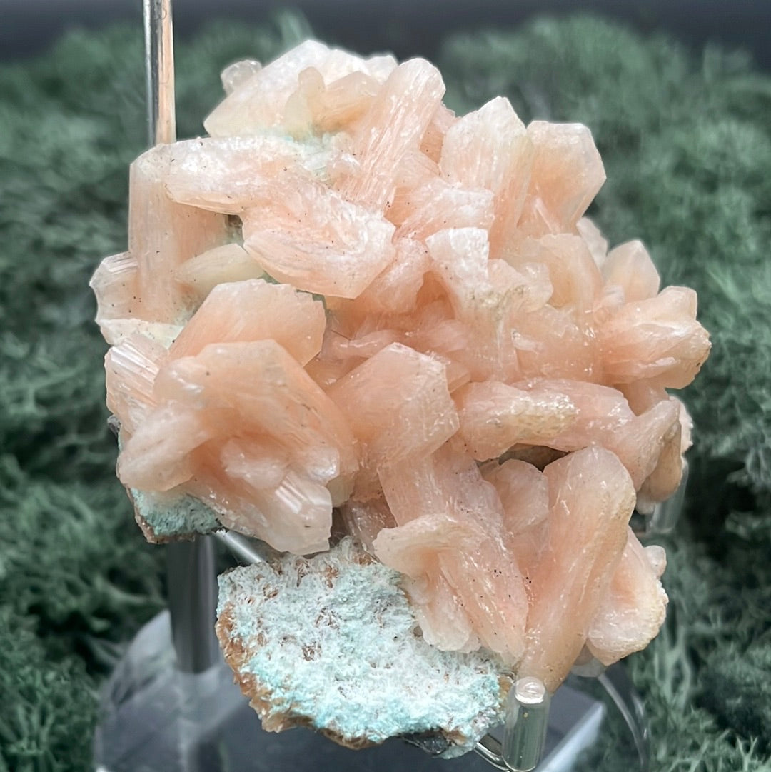 Stilbit Cluster Handstufe auf Zeolith aus Indien (147g) - viele grosse Kristalle - crystal paradise