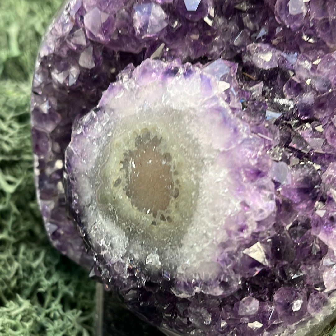 Achatisierter Amethyst Druse aus Uruguay (517g) - schönes violett!
