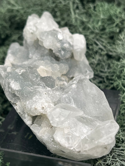 Apophyllit Stufe aus Indien (118g) - schöne grosse Kristalle - crystal paradise