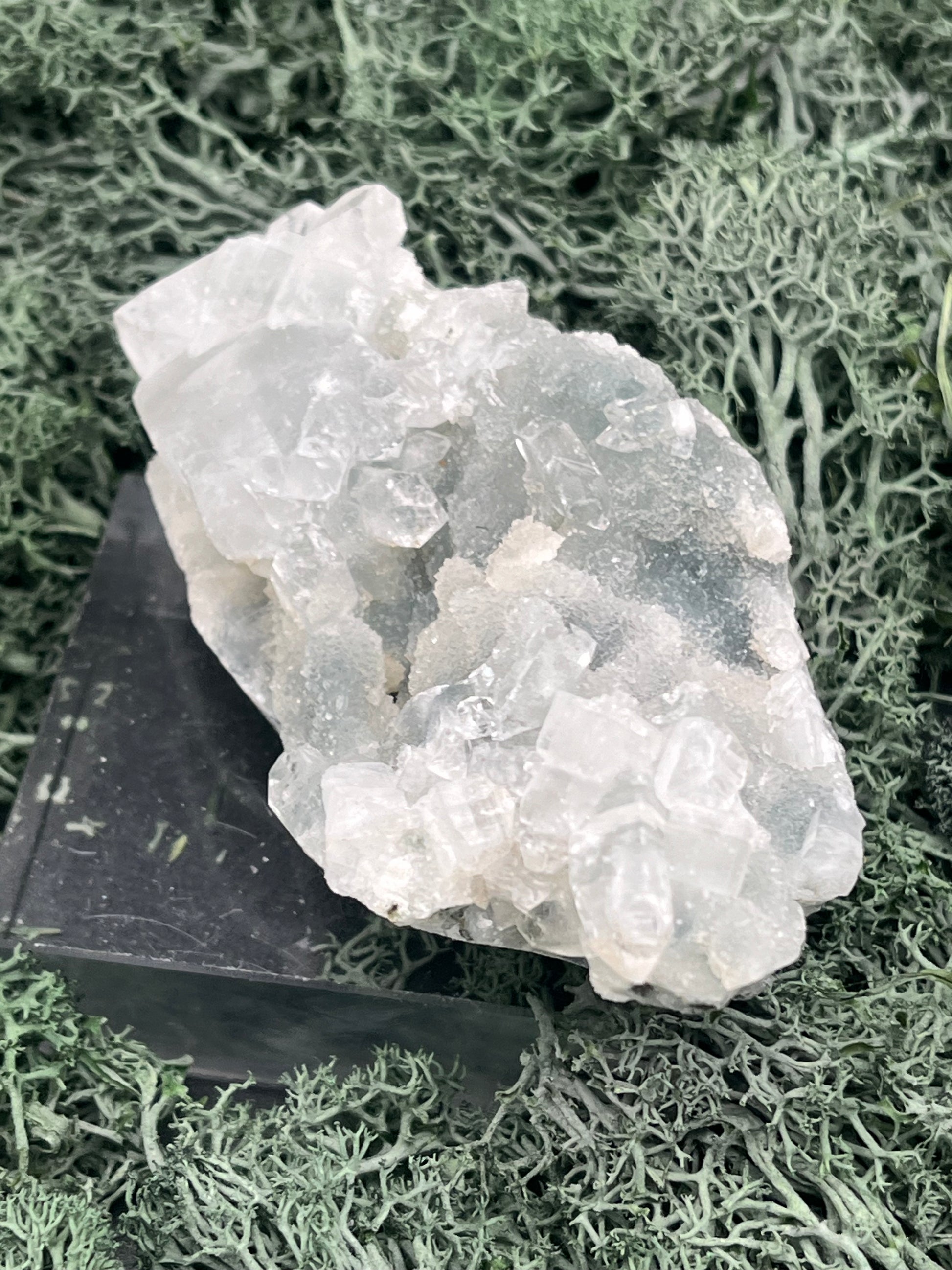 Apophyllit Stufe aus Indien (118g) - schöne grosse Kristalle - crystal paradise