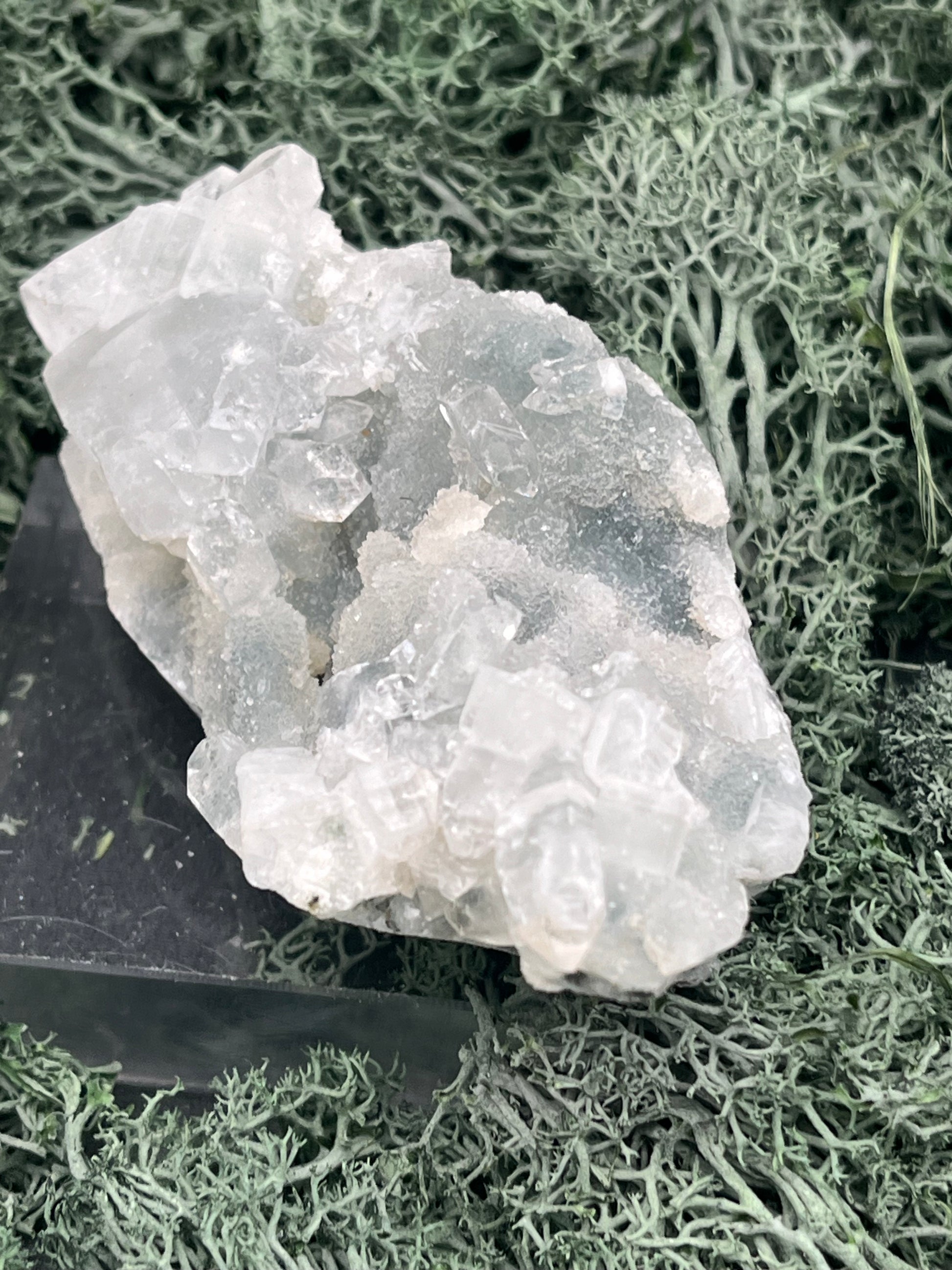 Apophyllit Stufe aus Indien (118g) - schöne grosse Kristalle - crystal paradise