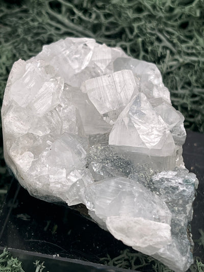 Apophyllit Stufe aus Indien (97g) - schöne grosse Kristalle - crystal paradise