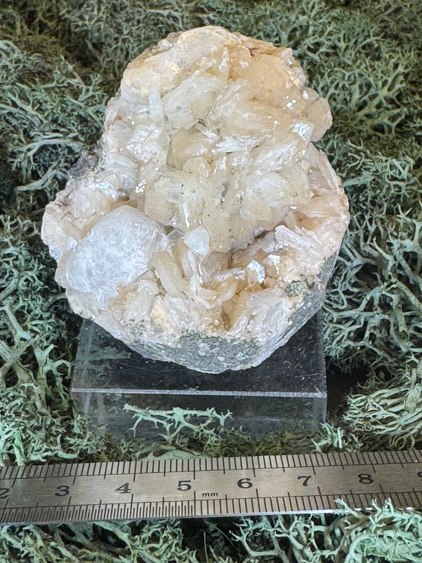 Apophyllit Stilbit Cluster aus Indien (verschiedene Größen) - 1 Stück - crystal paradise