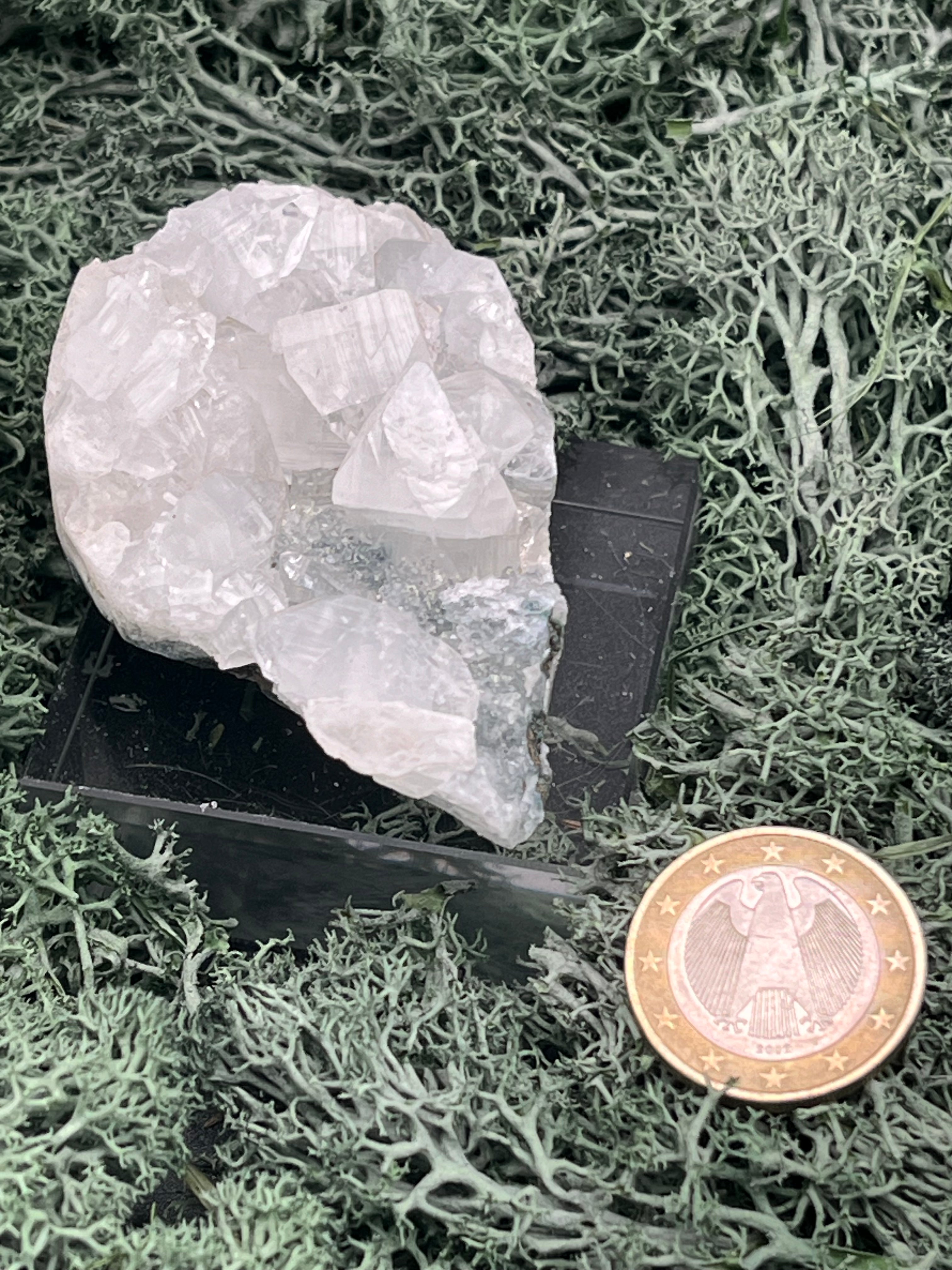 Apophyllit Stufe aus Indien (97g) - schöne grosse Kristalle - crystal paradise