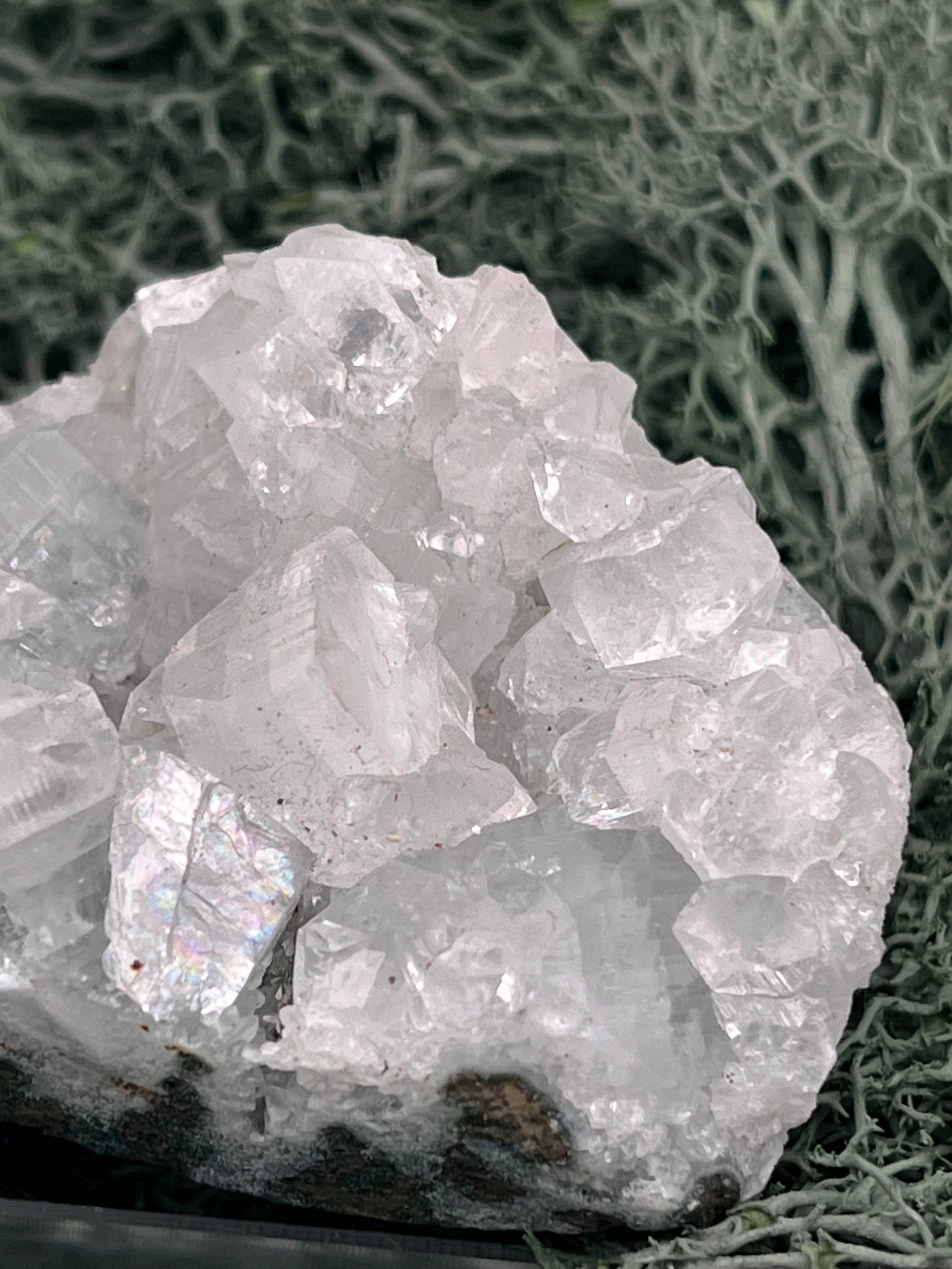 Apophyllit Stufe aus Indien (97g) - schöne grosse Kristalle - crystal paradise