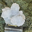 Apophyllit Cluster gross aus Indien - verschieden Größen - 1 Stück - crystal paradise