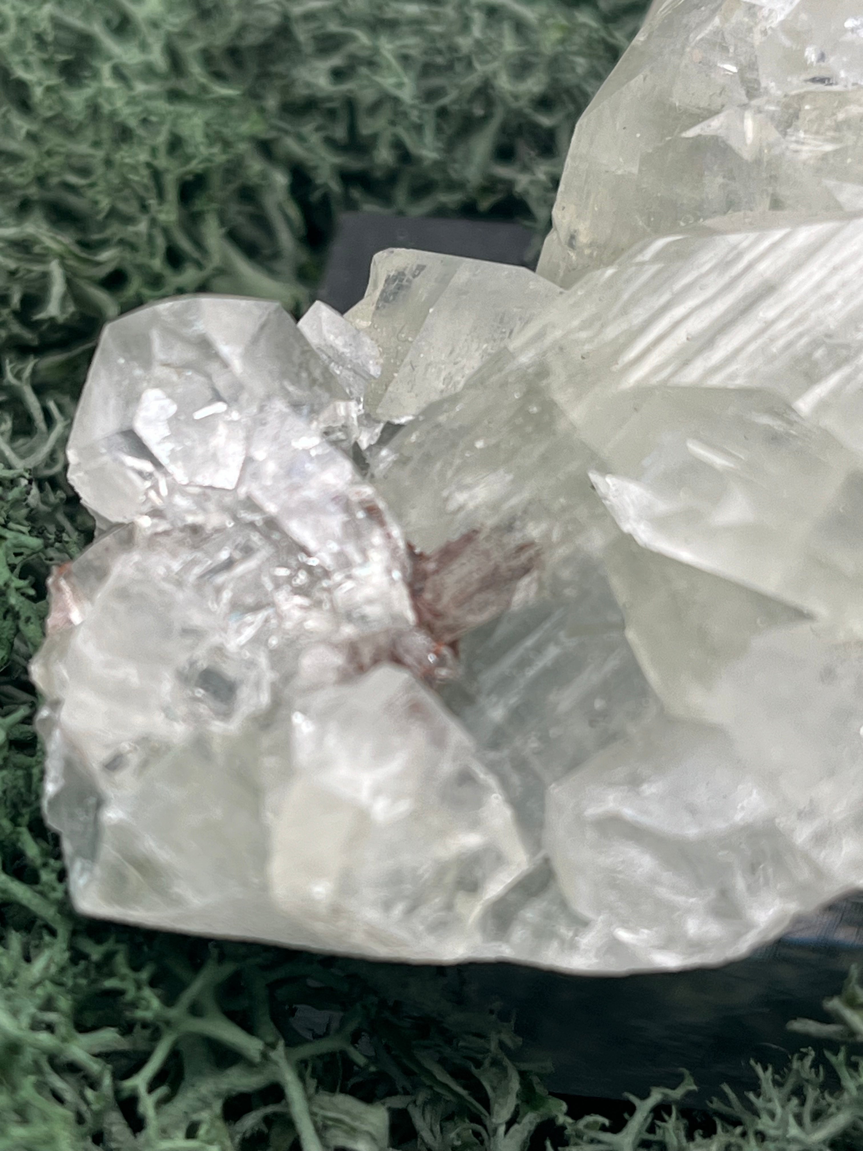 Apophyllit Stufe aus Indien (114g) - schöne grosse Kristalle - crystal paradise