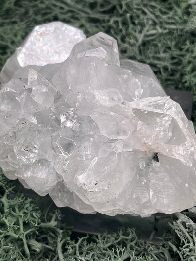 Apophyllit Stufe aus Indien (144g) - schöne grosse Kristalle - crystal paradise