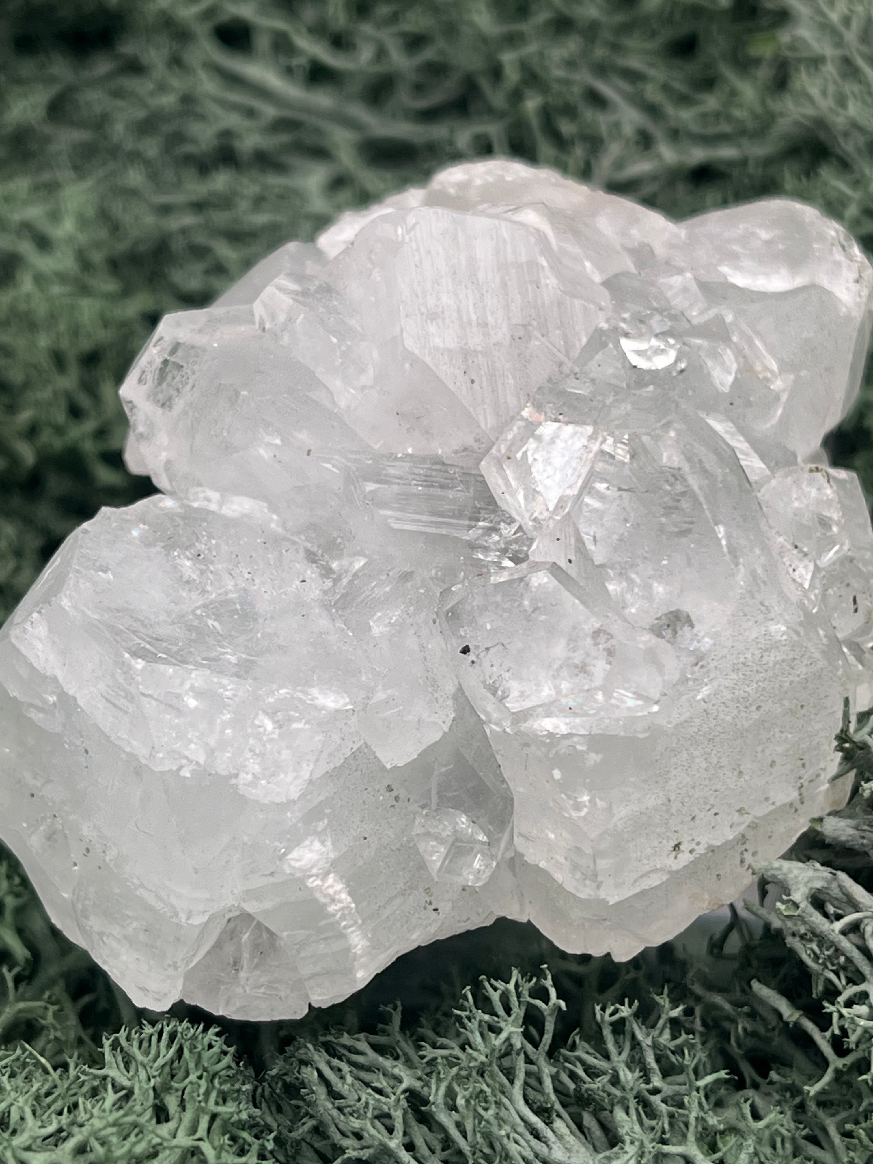 Apophyllit Stufe aus Indien (144g) - schöne grosse Kristalle - crystal paradise