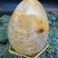 Golden Healer Eier (Quarz mit Eisenoxid Einschlüssen) aus Brasilien - verschieden Größen - 1 Stück - crystal paradise