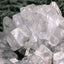 Apophyllit Stufe aus Indien (91g) - schöne grosse Kristalle - crystal paradise