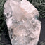 Apophyllit Stufe aus Indien (70g) - schöne grosse Kristalle - crystal paradise