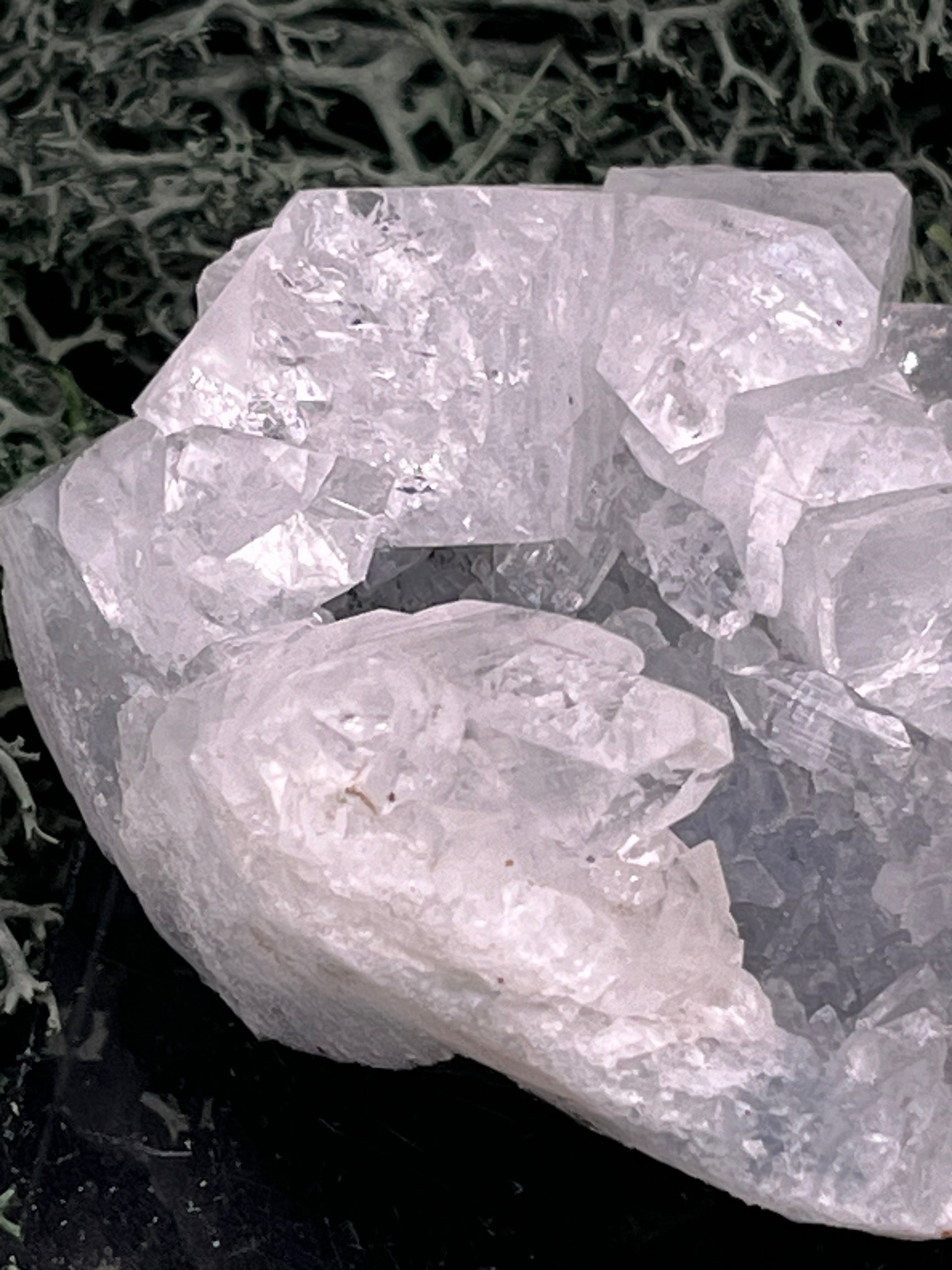 Apophyllit Stufe aus Indien (63g) - schöne grosse Kristalle - crystal paradise
