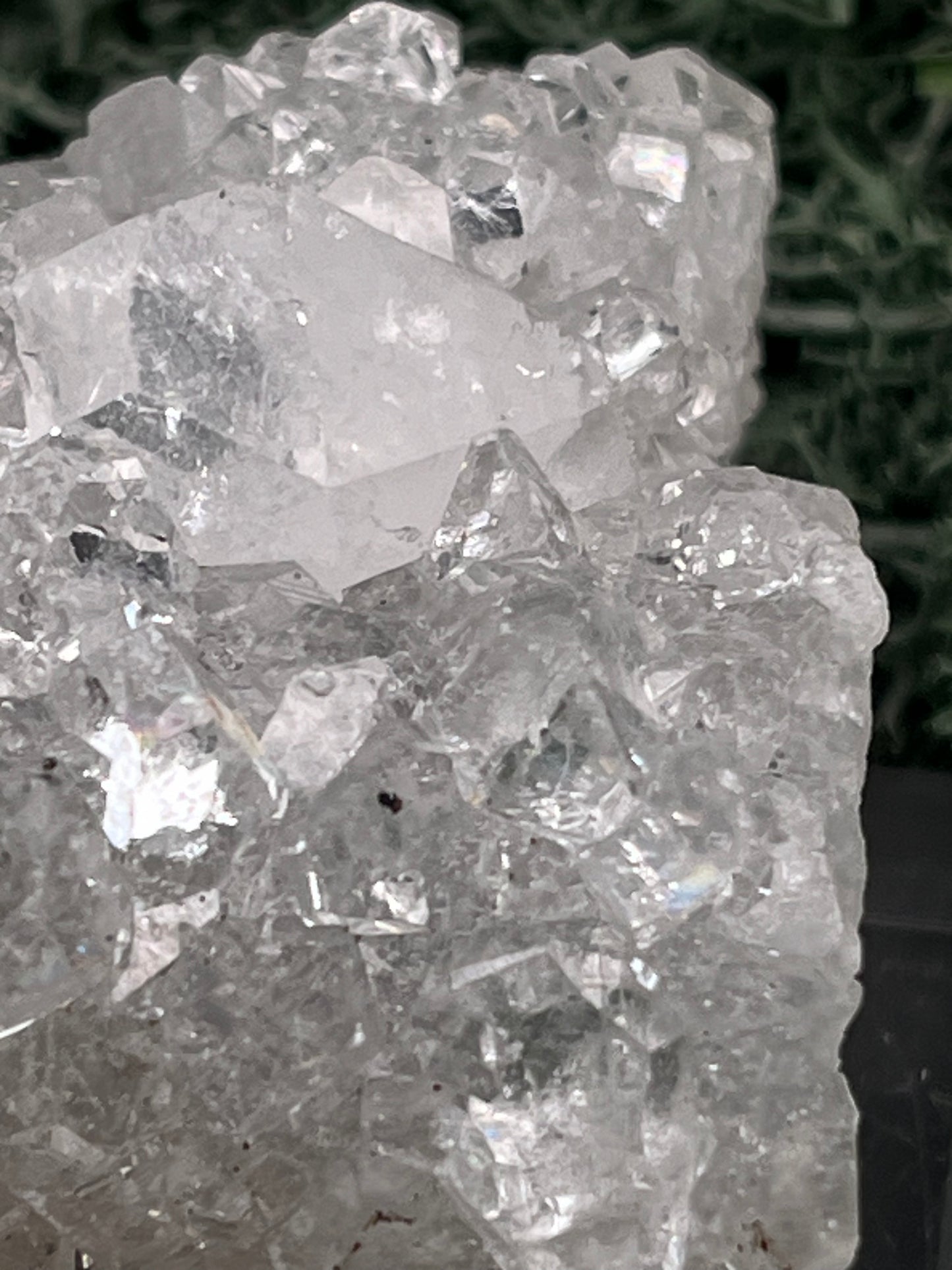 Apophyllit Stufe aus Indien (117g) - schöne grosse Kristalle - crystal paradise