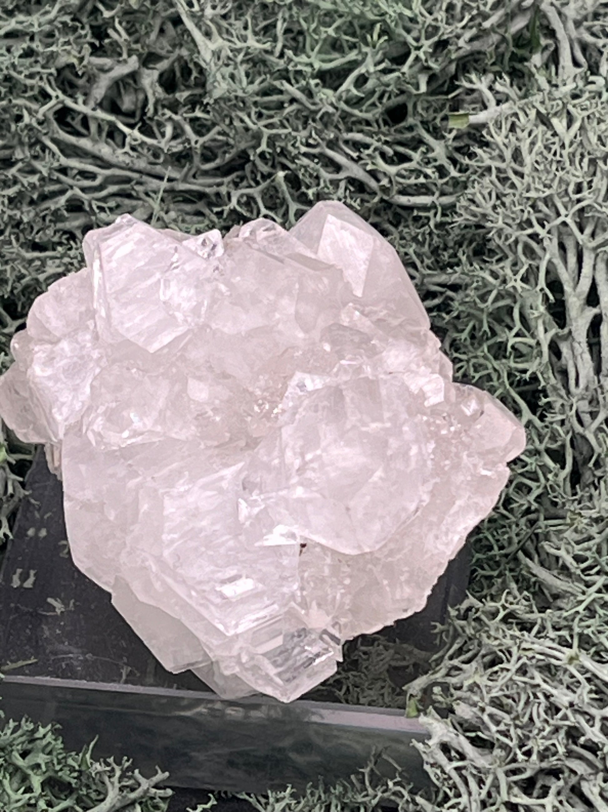 Apophyllit Stufe aus Indien (128g) - schöne grosse Kristalle - crystal paradise