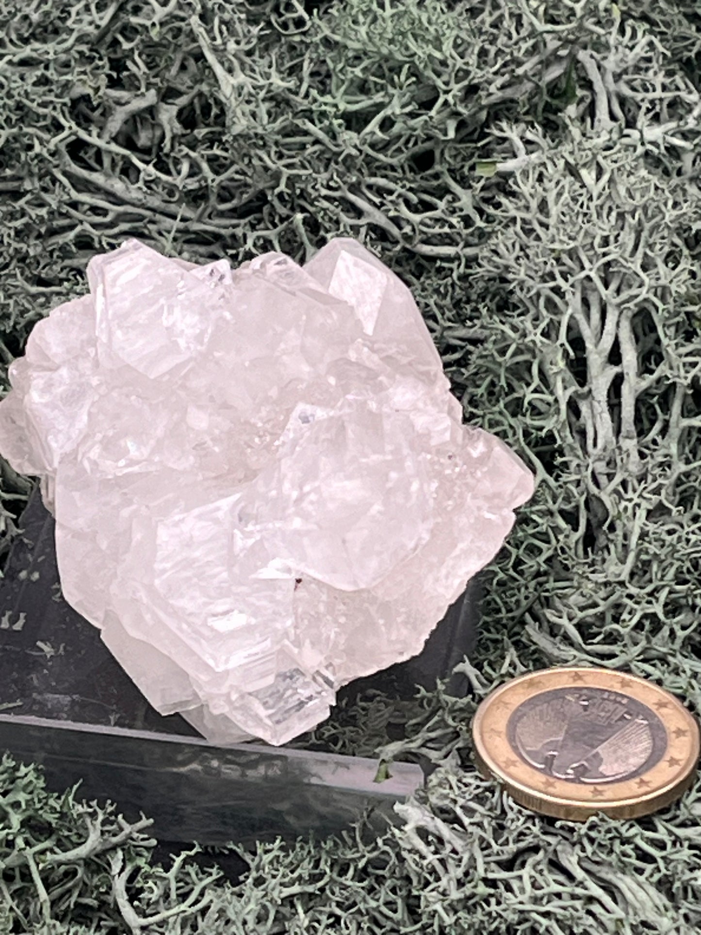 Apophyllit Stufe aus Indien (128g) - schöne grosse Kristalle - crystal paradise