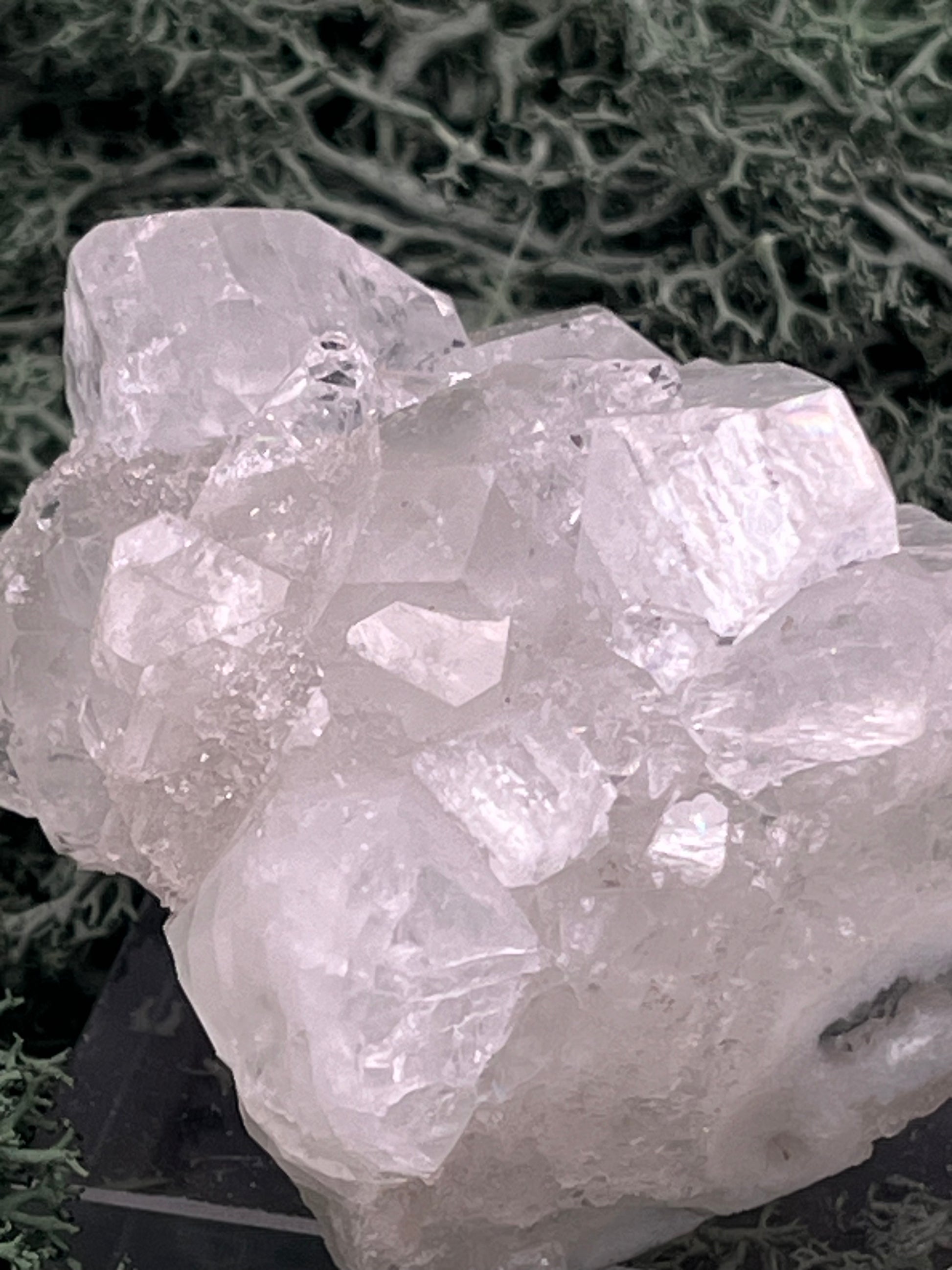 Apophyllit Stufe aus Indien (128g) - schöne grosse Kristalle - crystal paradise