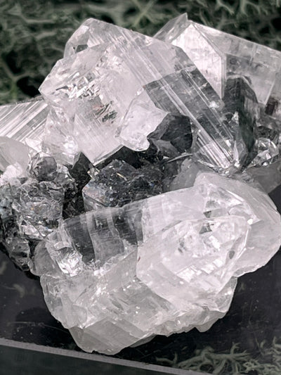 Apophyllit Stufe aus Indien (58g) - sehr schöne grosse Kristalle gut angeordnet - crystal paradise