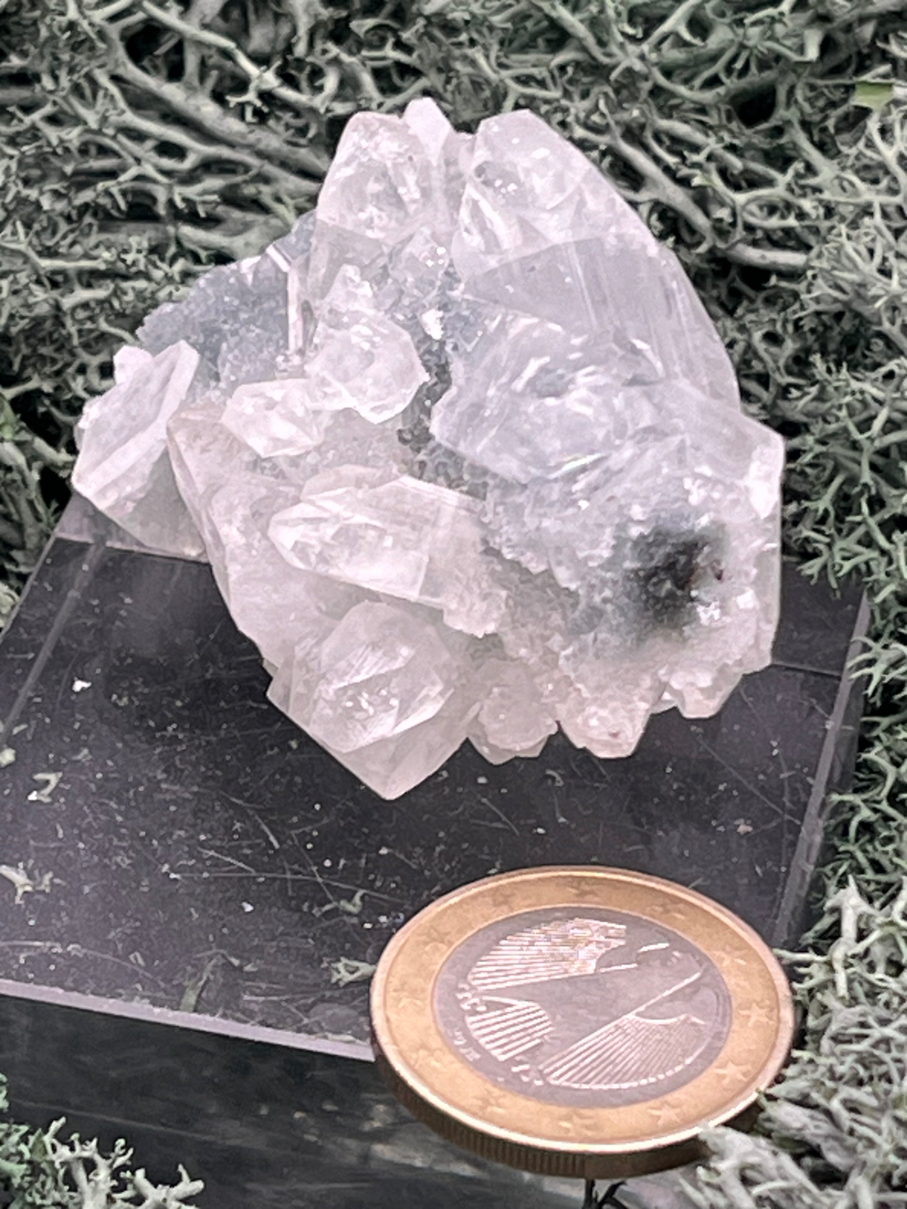 Apophyllit Stufe aus Indien (58g) - sehr schöne grosse Kristalle gut angeordnet - crystal paradise