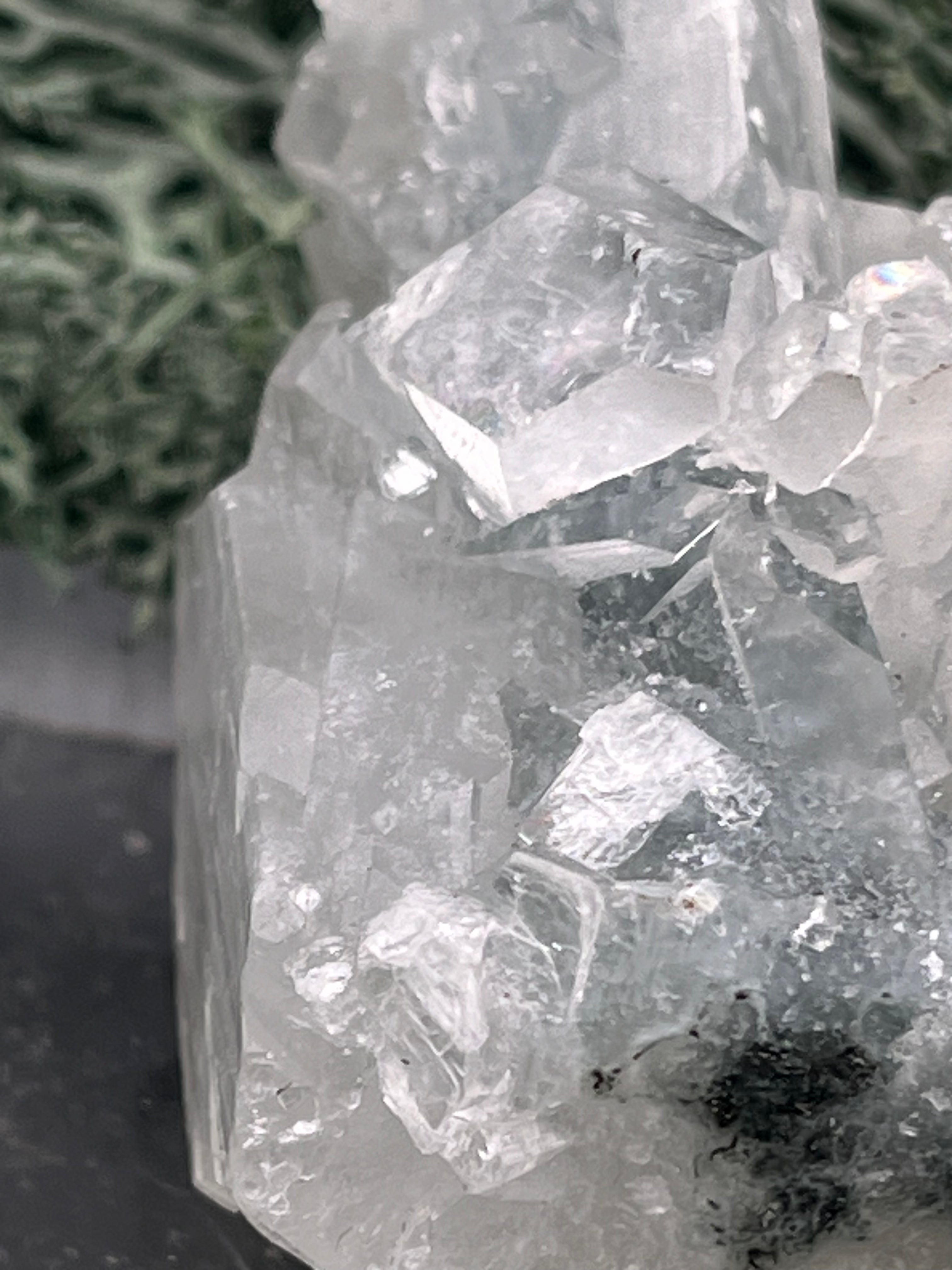 Apophyllit Stufe aus Indien (58g) - sehr schöne grosse Kristalle gut angeordnet - crystal paradise