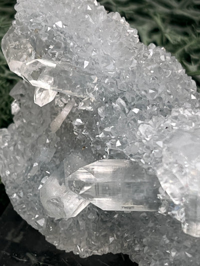 Apophyllit Stufe aus Indien (64g) - schöne grosse Kristalle zusammen mit Sugar Crystals - crystal paradise