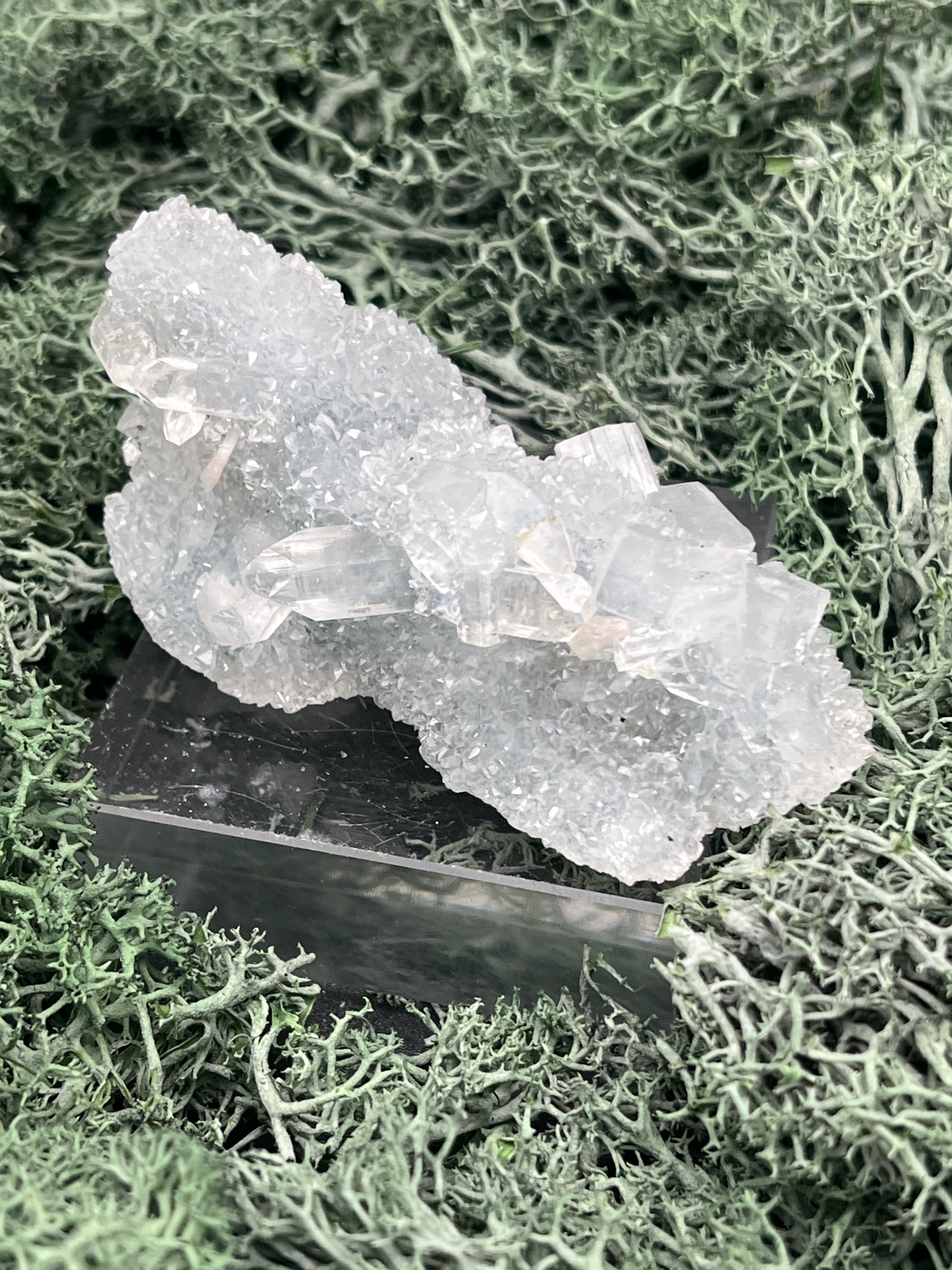 Apophyllit Stufe aus Indien (64g) - schöne grosse Kristalle zusammen mit Sugar Crystals - crystal paradise