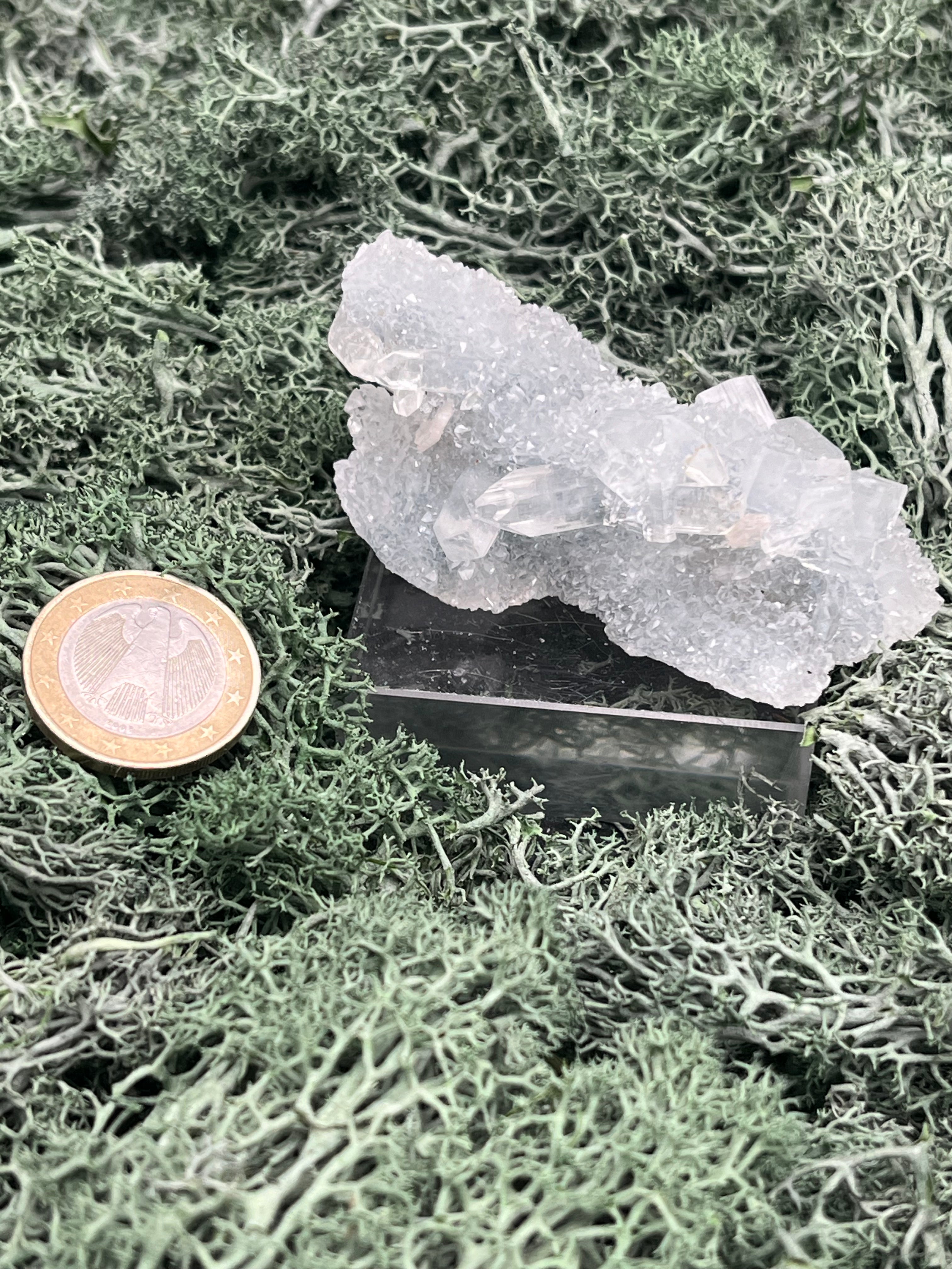 Apophyllit Stufe aus Indien (64g) - schöne grosse Kristalle zusammen mit Sugar Crystals - crystal paradise