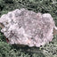 Apophyllit Stufe aus Indien (110g) - viele Kristalle - crystal paradise