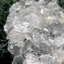 Apophyllit Stufe aus Indien (127g) - viele Kristalle - crystal paradise