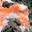 Thomsonit aus Indien (236g) - Handstufe - leuchtend orange Farbe, viele schöne Kugelbildung auf Muttergestein - crystal paradise