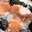 Thomsonit aus Indien (236g) - Handstufe - leuchtend orange Farbe, viele schöne Kugelbildung auf Muttergestein - crystal paradise