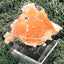 Thomsonit aus Indien (273g) - Handstufe - leuchtend orange Farbe, mehrere schöne Kugelbildungen auf Muttergestein - crystal paradise