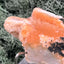 Thomsonit aus Indien (143g) - Stufe - leuchtend orange Farbe, mehrere schöne Kugelbildungen - crystal paradise