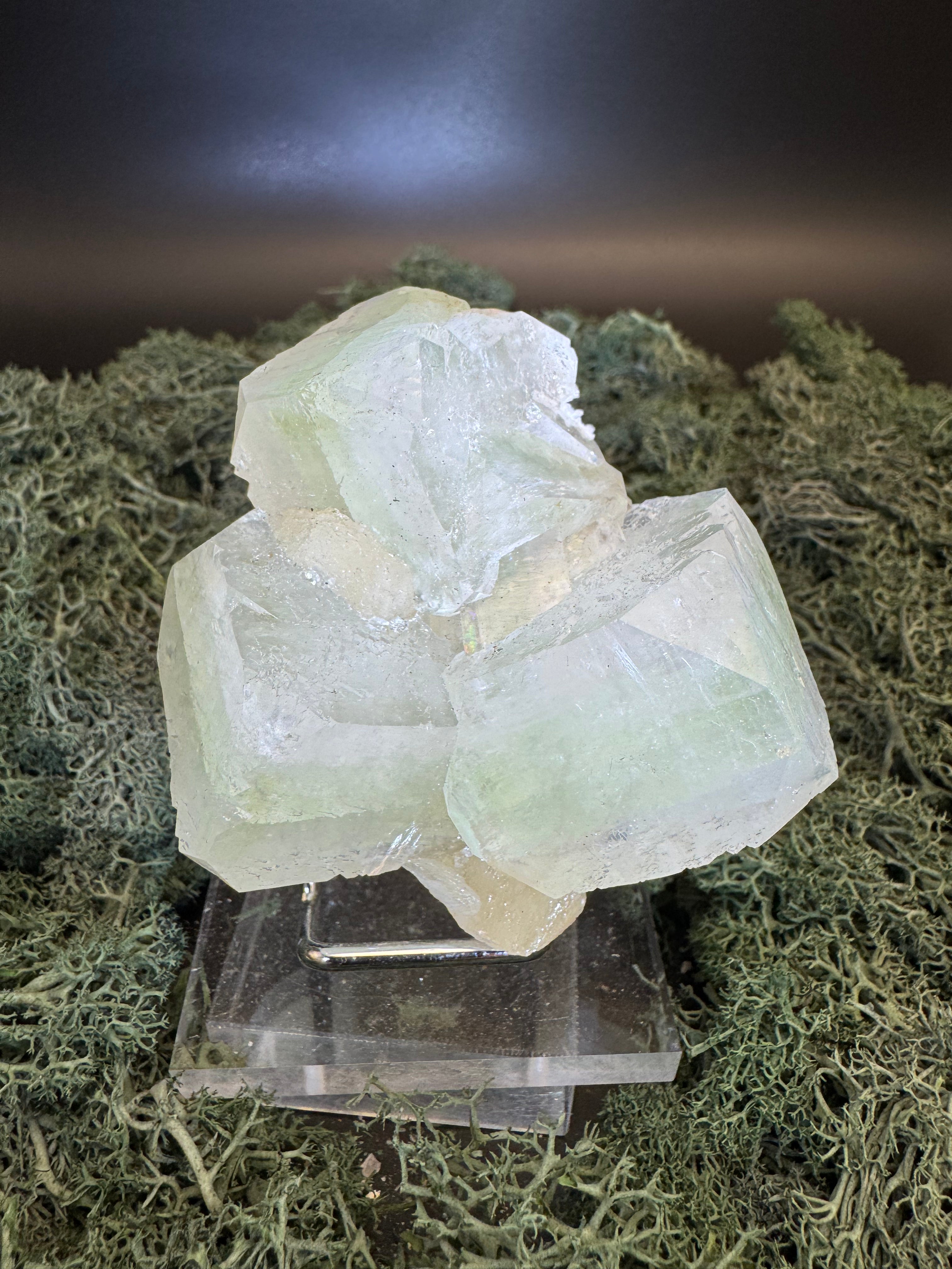 Grüner Apophyllit mit Stilbit Cluster aus Maharashtra, Nashik pune, Indien (230g) - große grüne Würfel - crystal paradise
