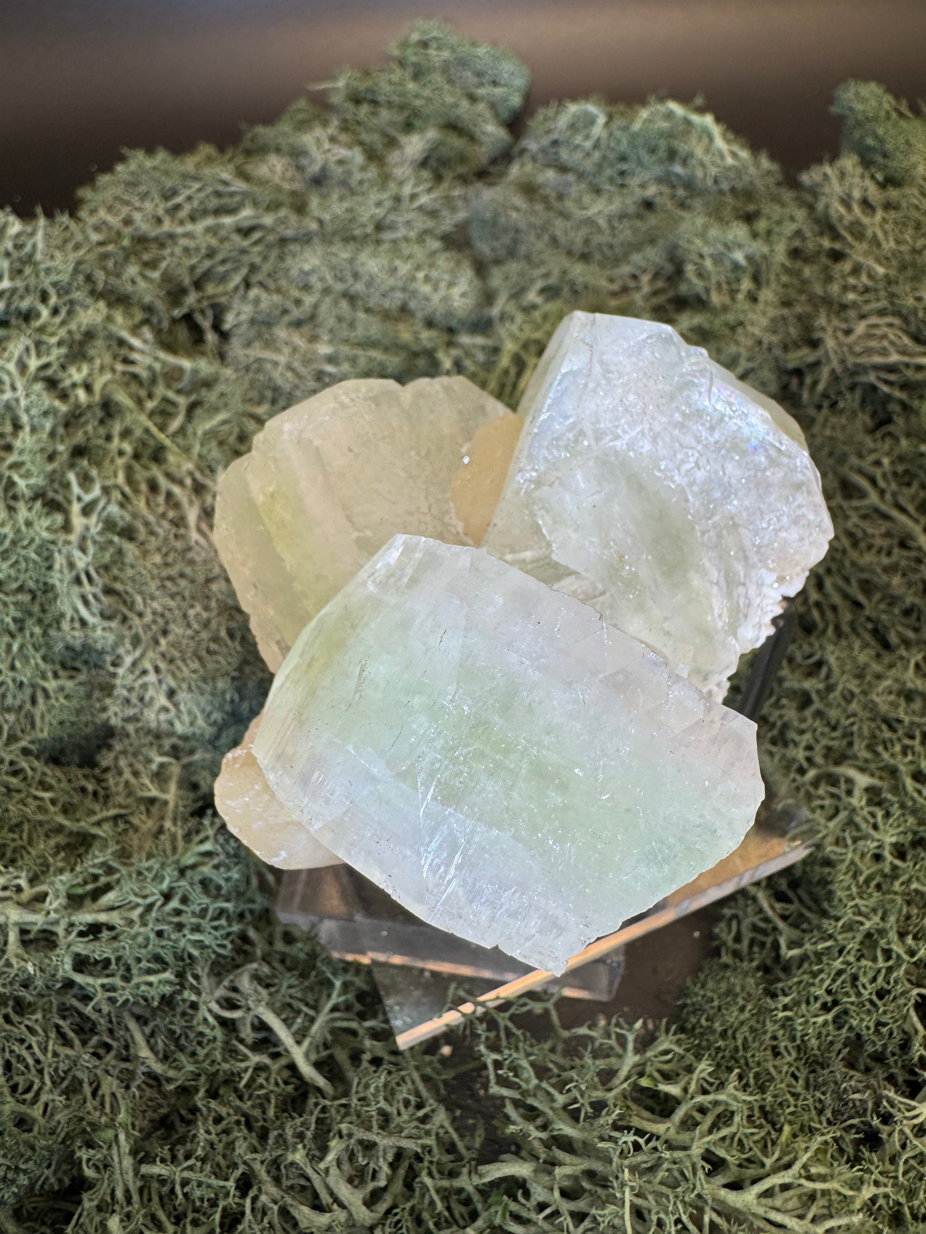 Grüner Apophyllit mit Stilbit Cluster aus Maharashtra, Nashik pune, Indien (230g) - große grüne Würfel - crystal paradise