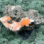 Thomsonit aus Indien (638g) - Stufe - leuchtend orange Farbe auf Muttergestein - crystal paradise