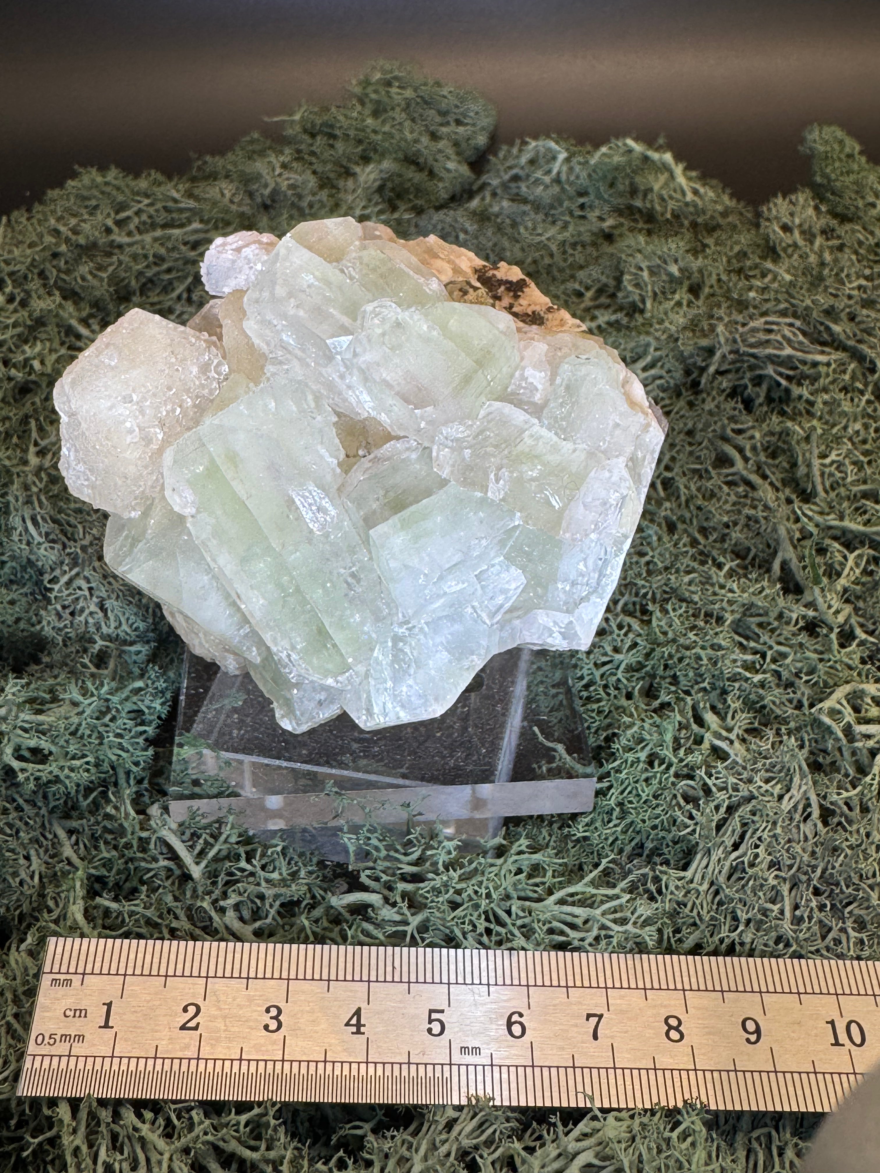 Grüner Apophyllit mit Stilbit Cluster aus Maharashtra, Nashik pune, Indien (348g) - Zuckerstilbit - crystal paradise
