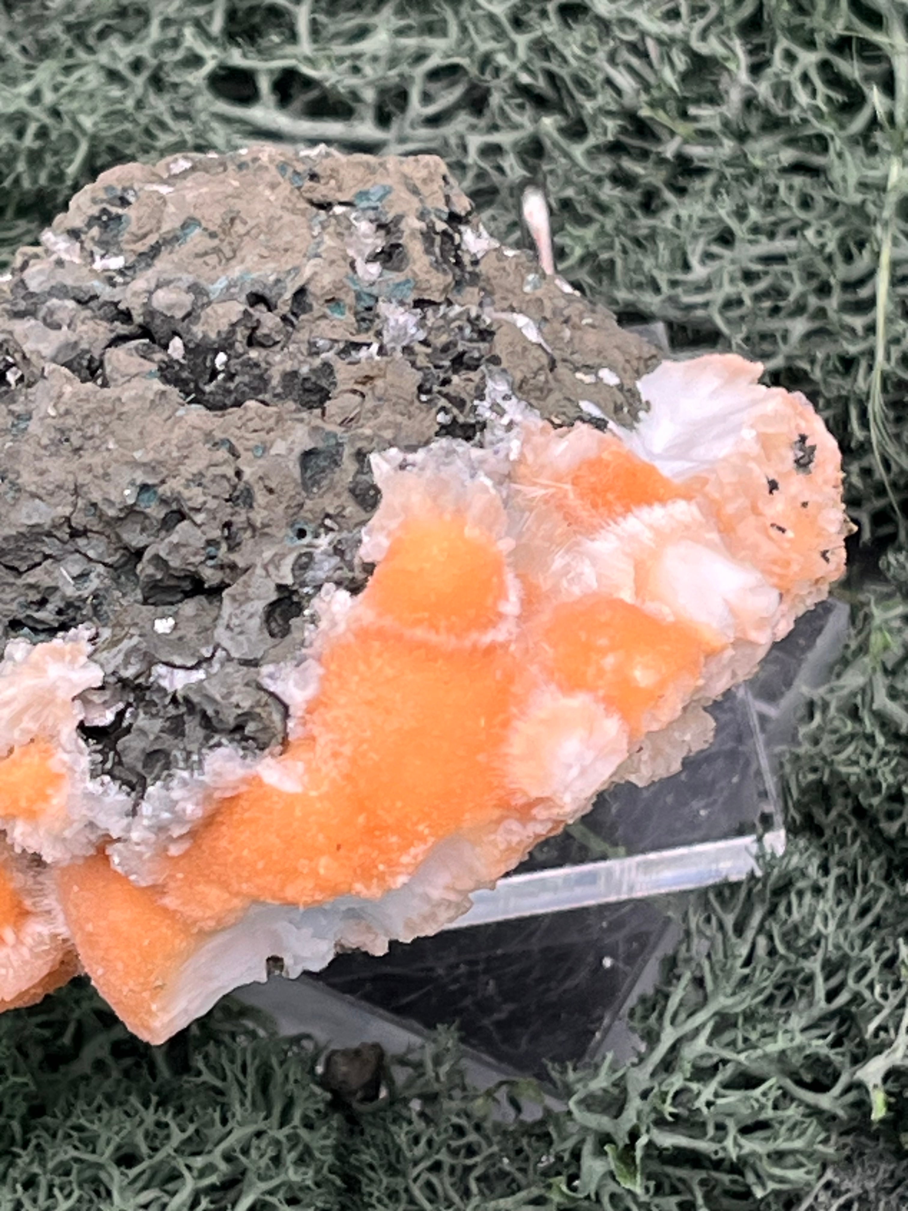Thomsonit aus Indien (199g) - Stufe - leuchtend orange Farbe - viele Kugeln auf Muttergestein - crystal paradise