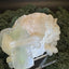 Apophyllite Stilbite Cluster from India (78g)