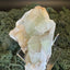 Apophyllite Stilbite Cluster from India (78g)