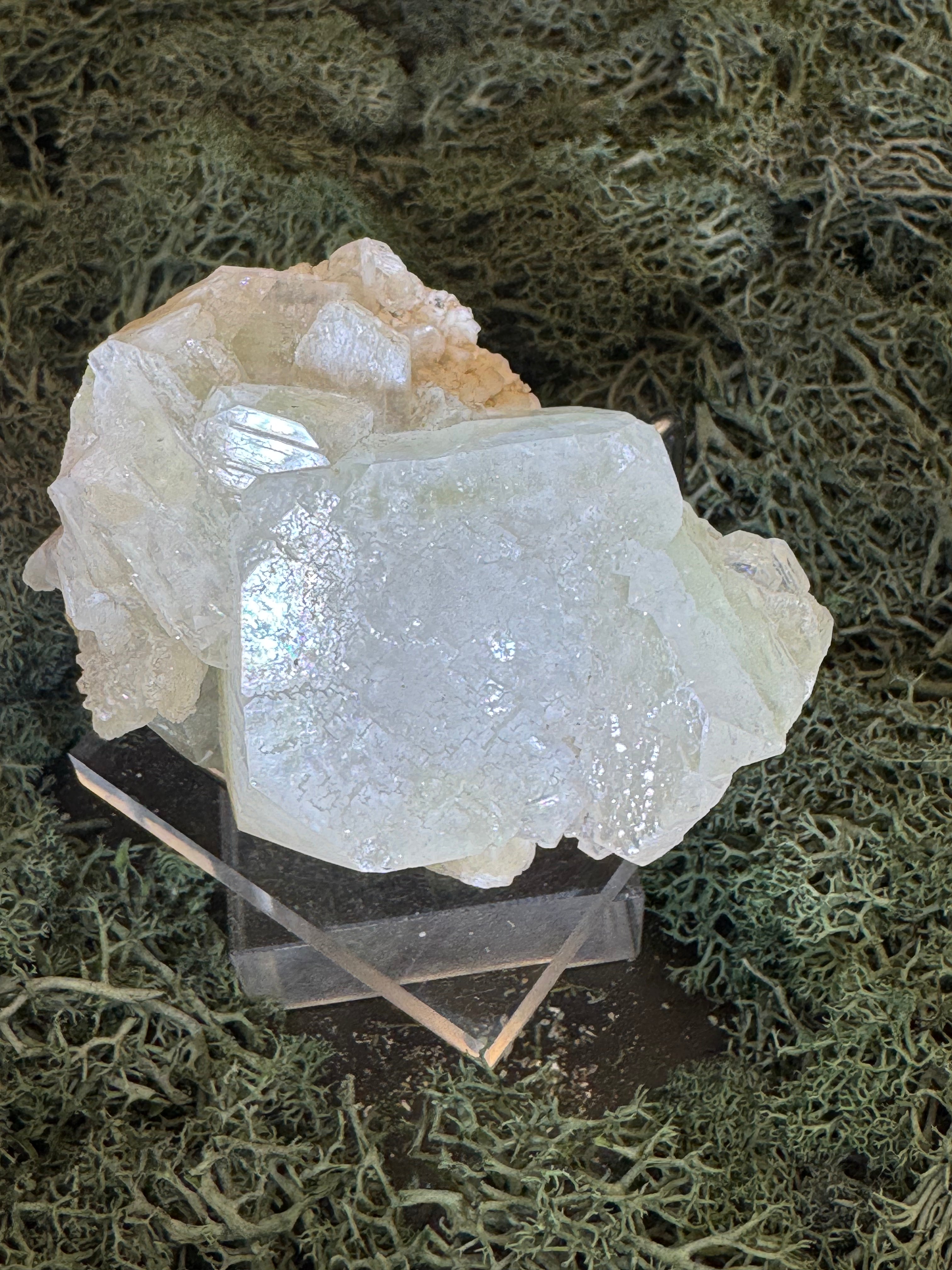 Grüner Apophyllit mit Stilbit Cluster aus Maharashtra, Nashik pune, Indien (213g) - große grüne Würfel - crystal paradise