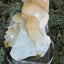 Apophyllite Stilbite Cluster from India (78g)