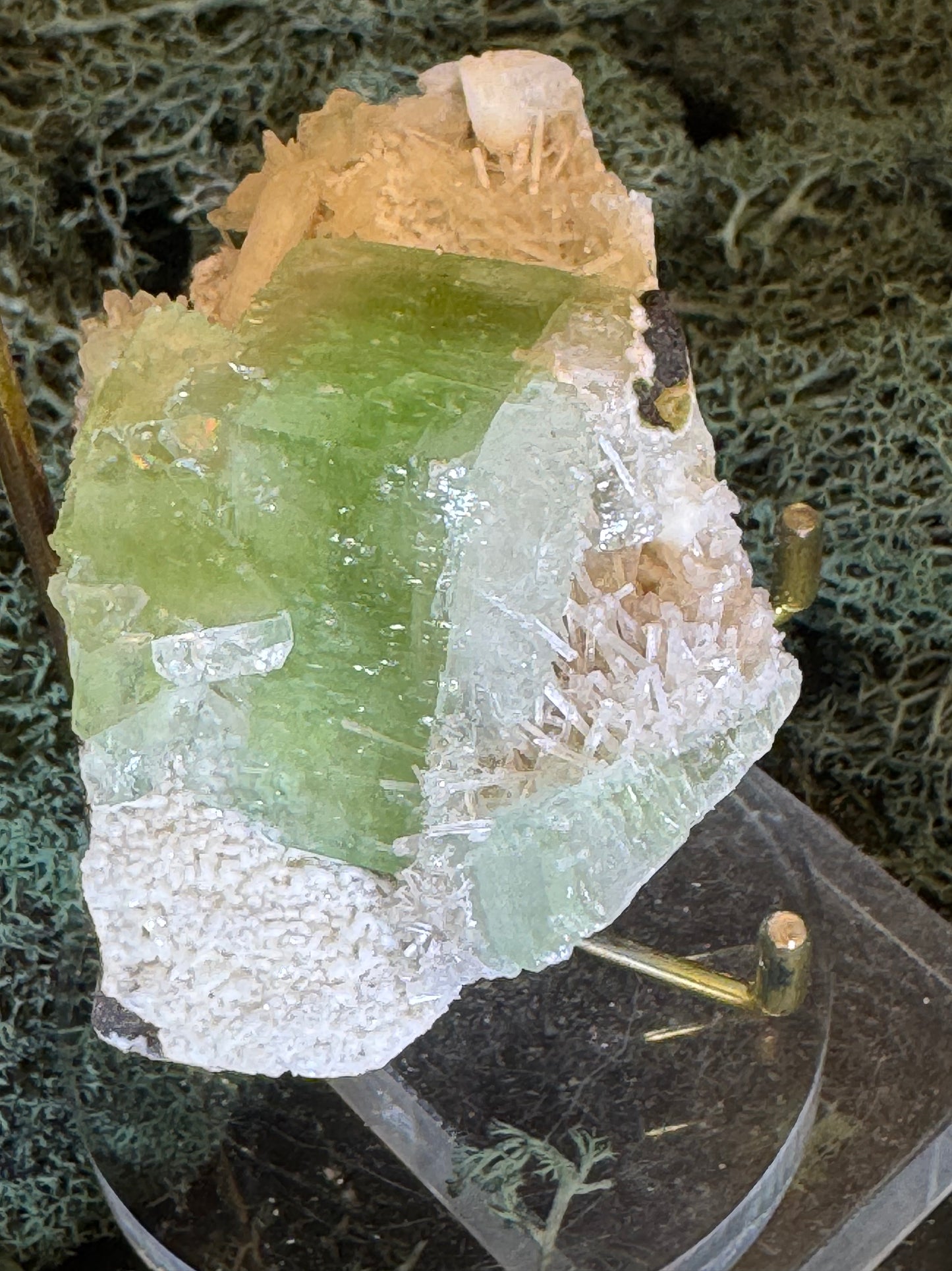 Apophyllite Stilbite Cluster from India (78g)